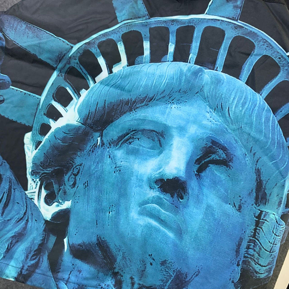 Supreme x The North Face Statue Of Liberty Mountain Jacket - product view 3