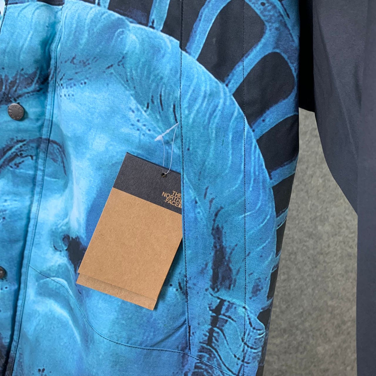 Supreme x The North Face Statue Of Liberty Mountain Jacket - product view 8