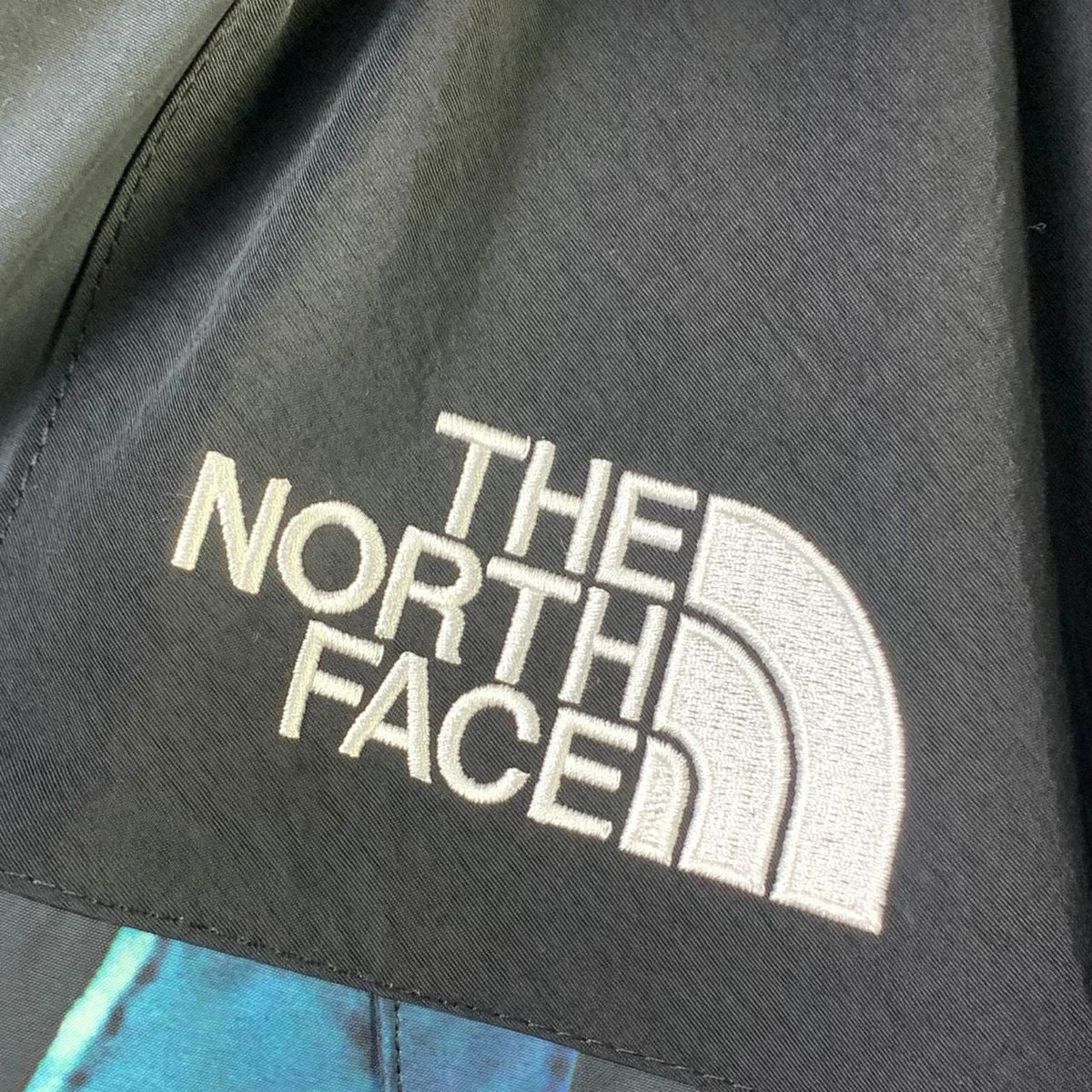 Supreme x The North Face Statue Of Liberty Mountain Jacket - product view 6
