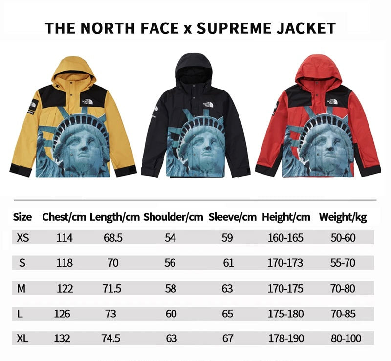 Supreme x The North Face Statue Of Liberty Mountain Jacket - product view 16