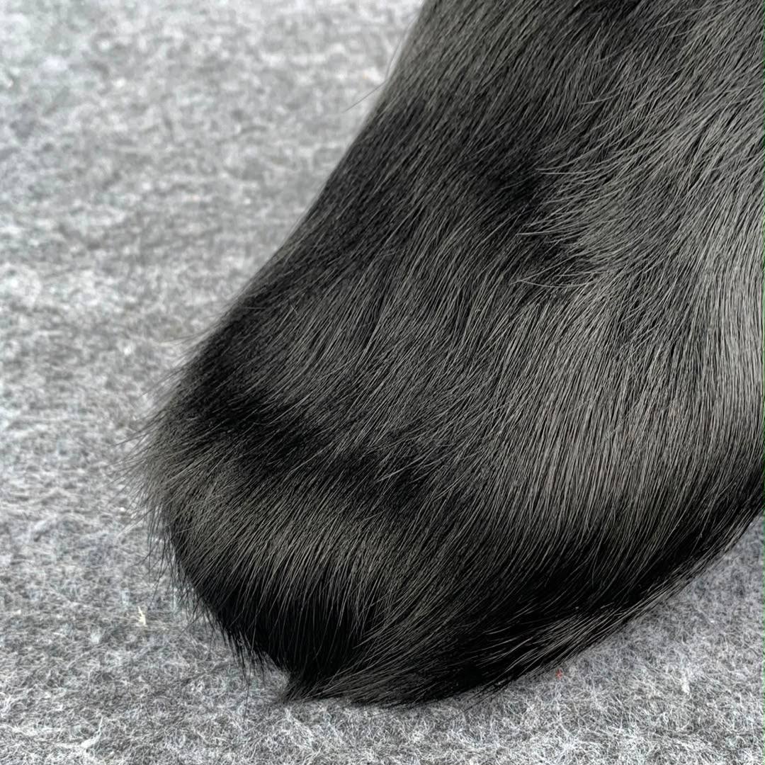 Marni Fussbett Sabot 'Black' - product view 7