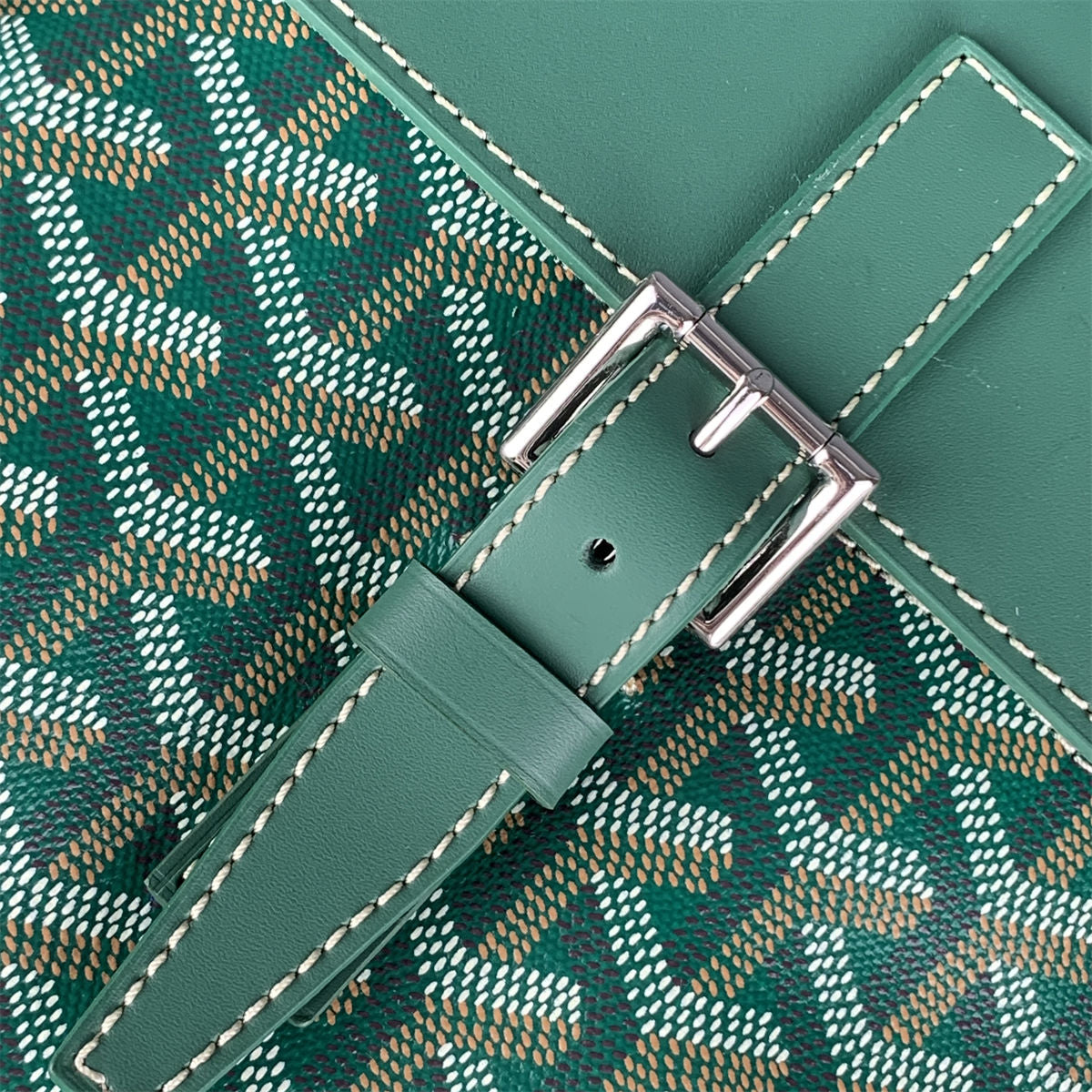 Goyard Alpin Backpack 'Green Goyardine' - product view 5
