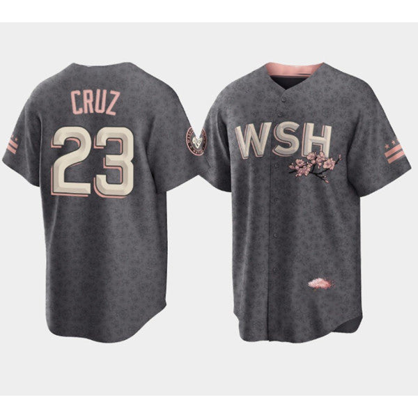 Baseball Jersey | Washington Nationals #23 Nelson Cruz 2022 Grey City Connect Cherry Blossom Stitched Cool - image 1