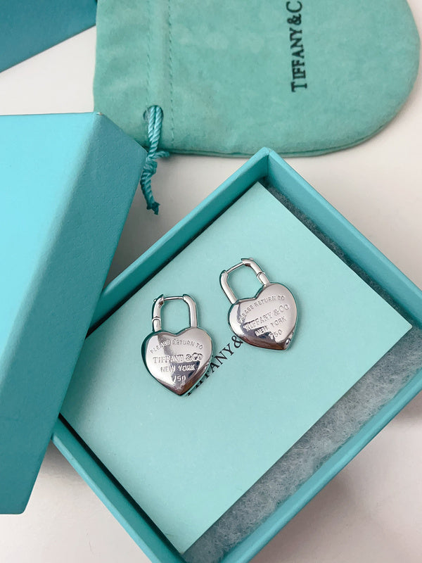 A1153 Women's titanium steel earrings and jewelry
